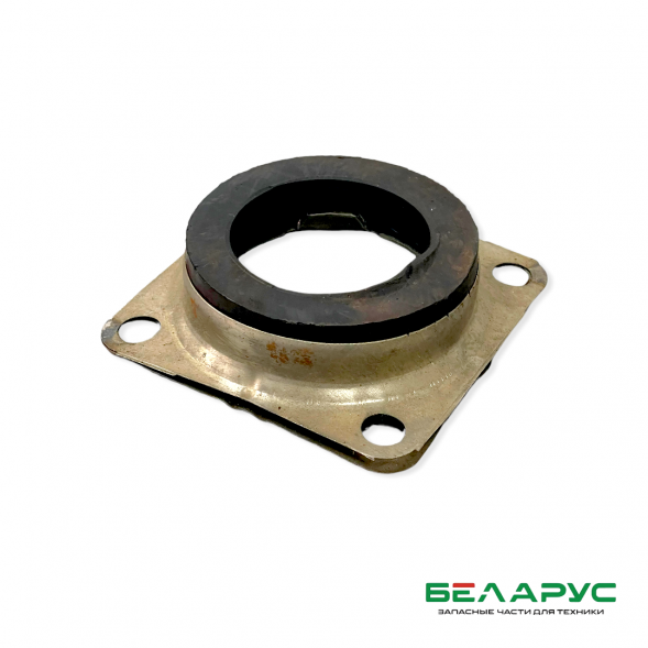 Уплотнение каретки 85.31.021