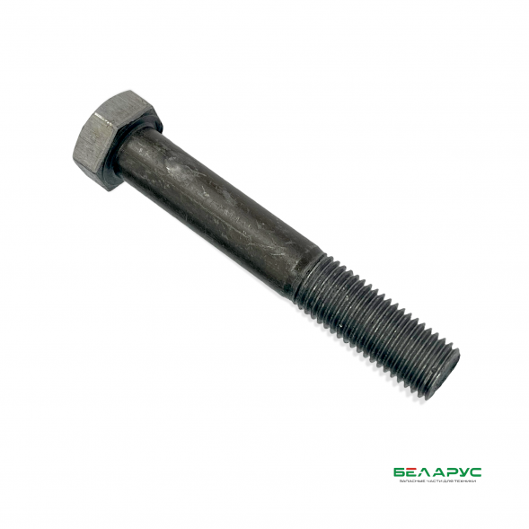 Болт М16*100